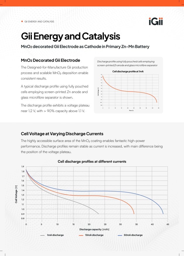 iGii-Energy-Catalysis-v2