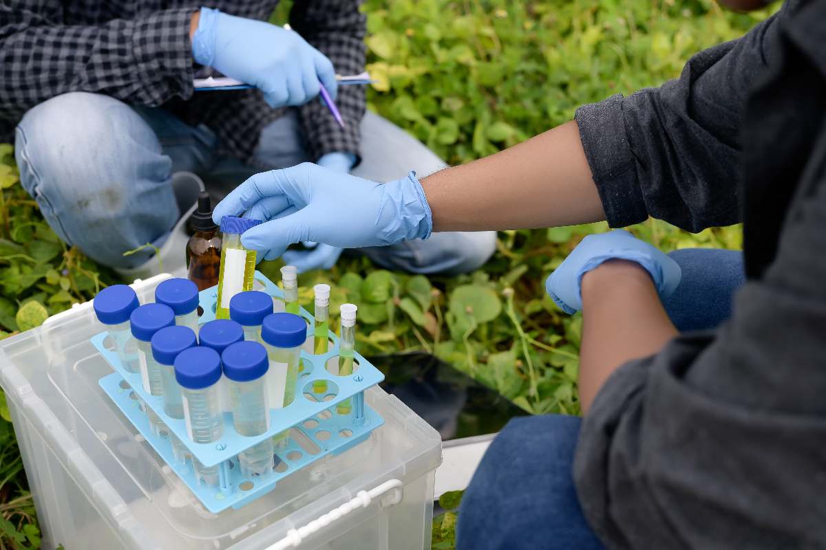 What types of sensors are used in environmental monitoring?